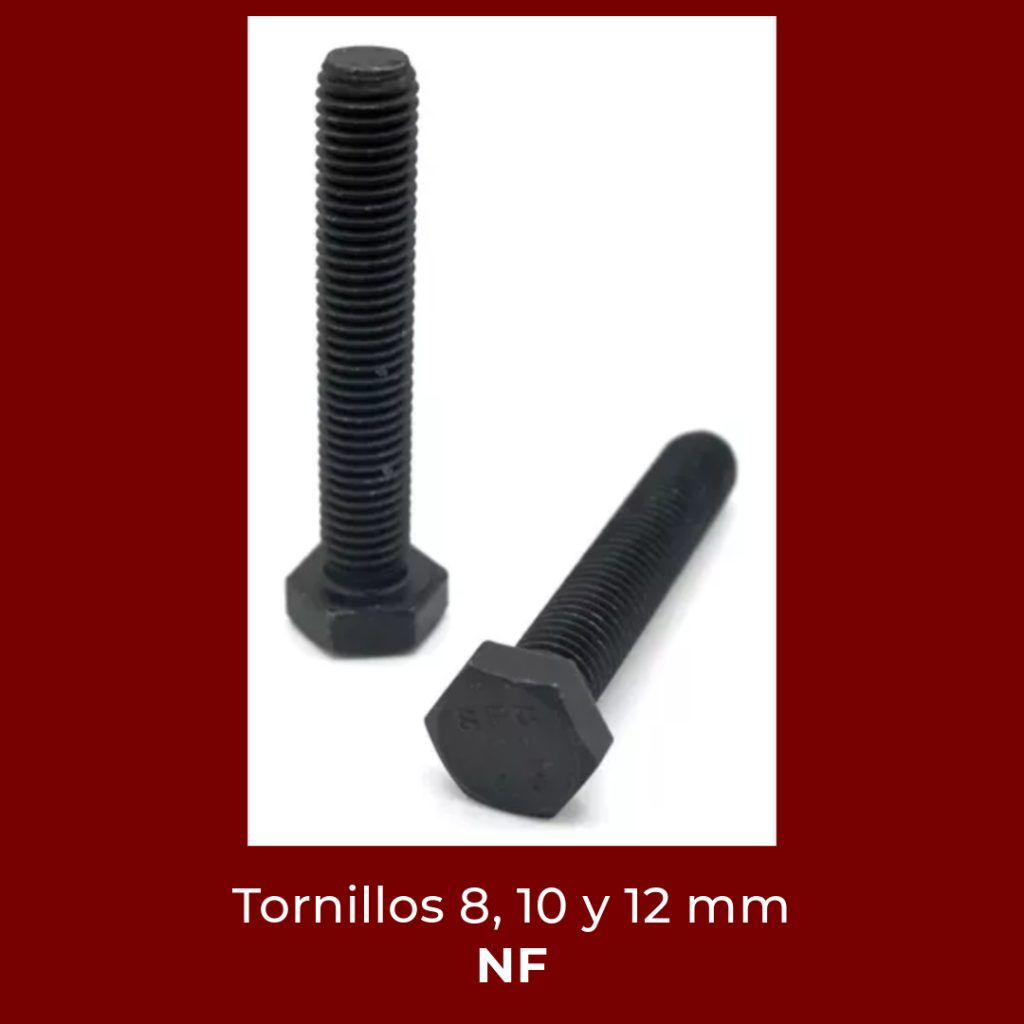 Novedades Febrero 2025