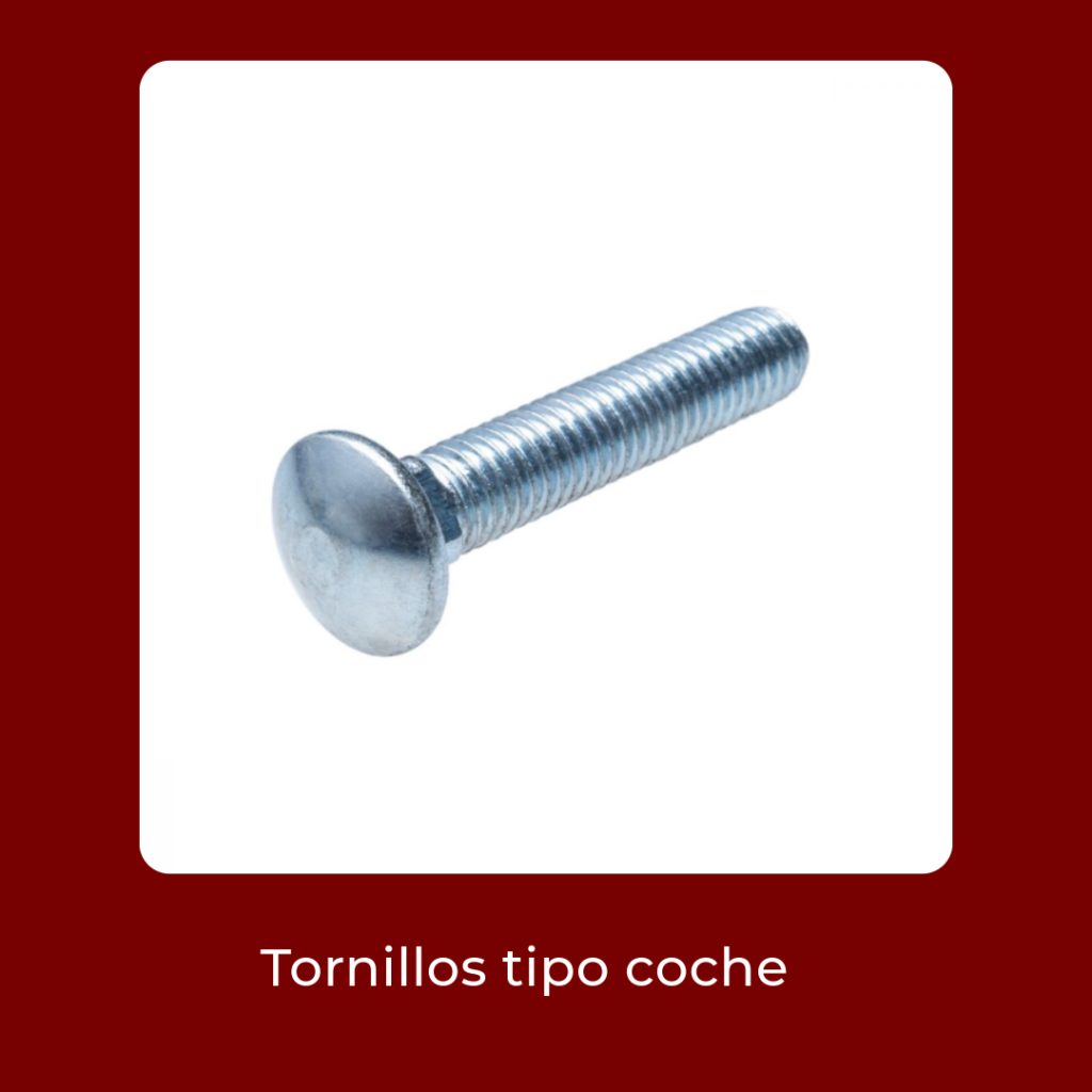 Novedades Enero 2025