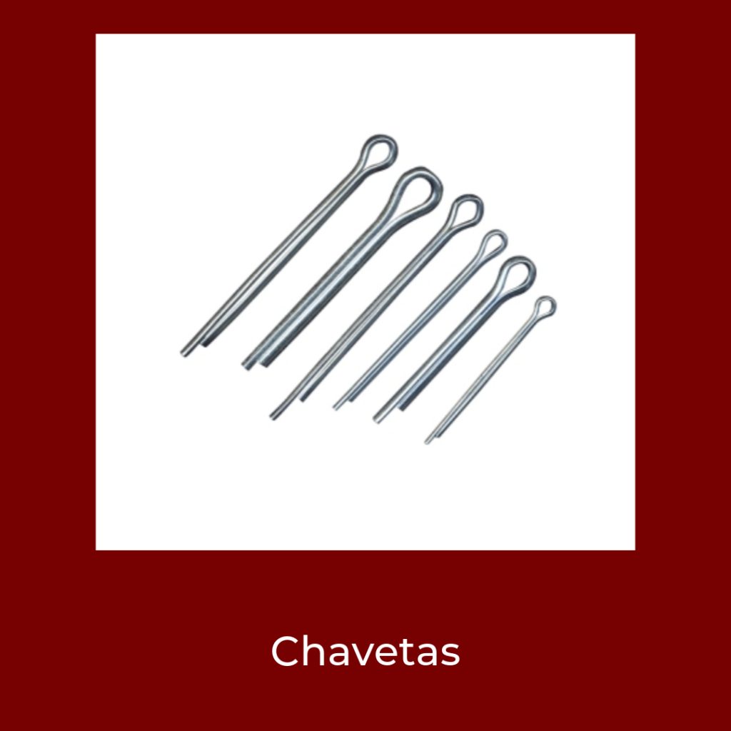 Novedades Febrero 2025