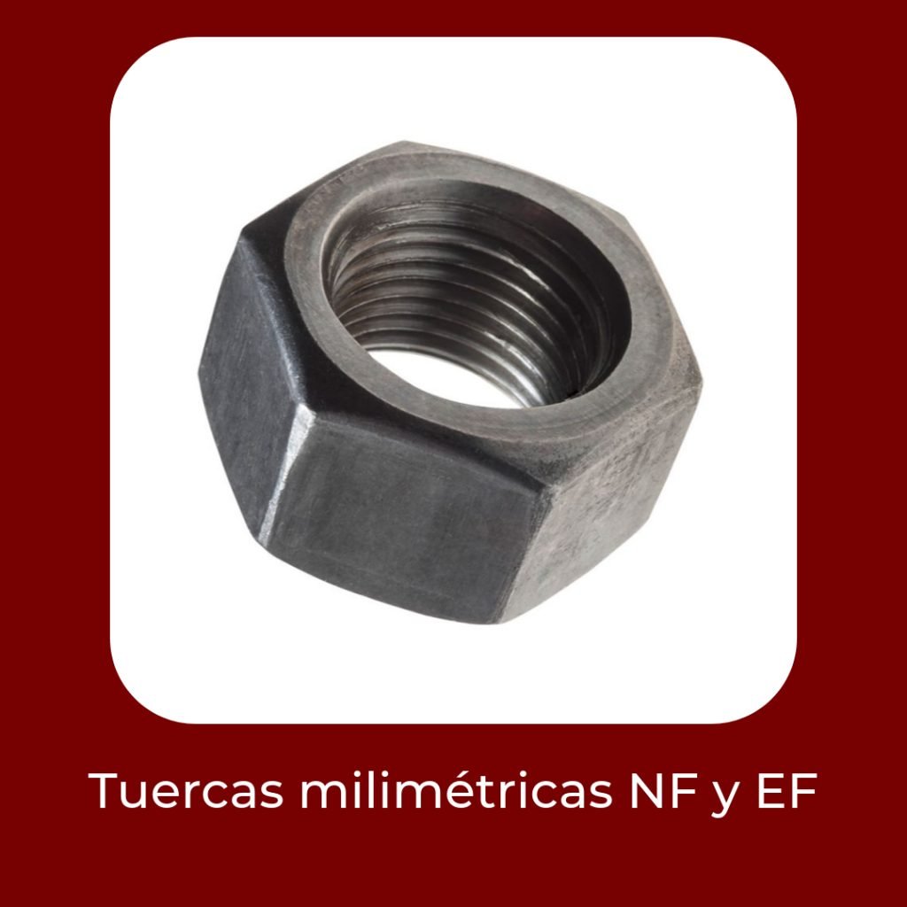 Novedades Septiembre 2024