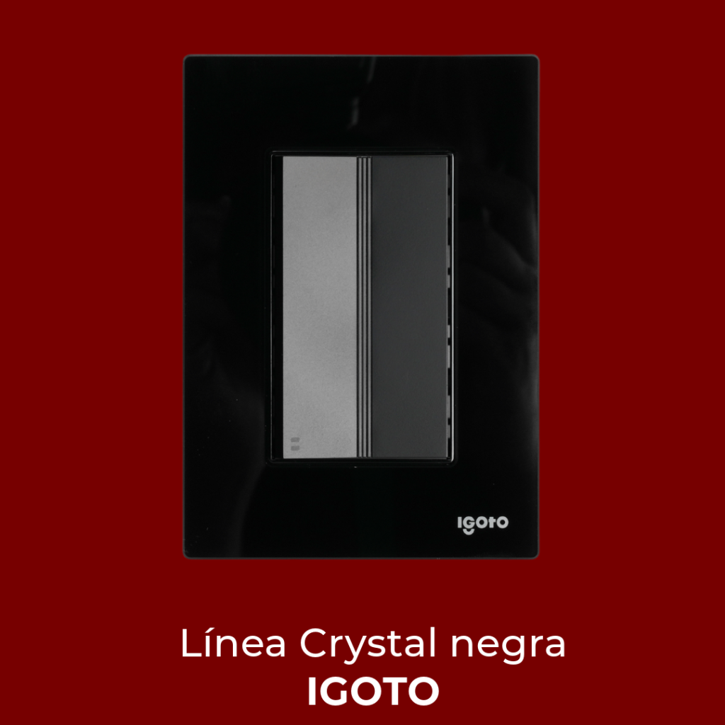 Novedades Diciembre 2024