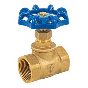 Válvula de globo de latón roscable de 1