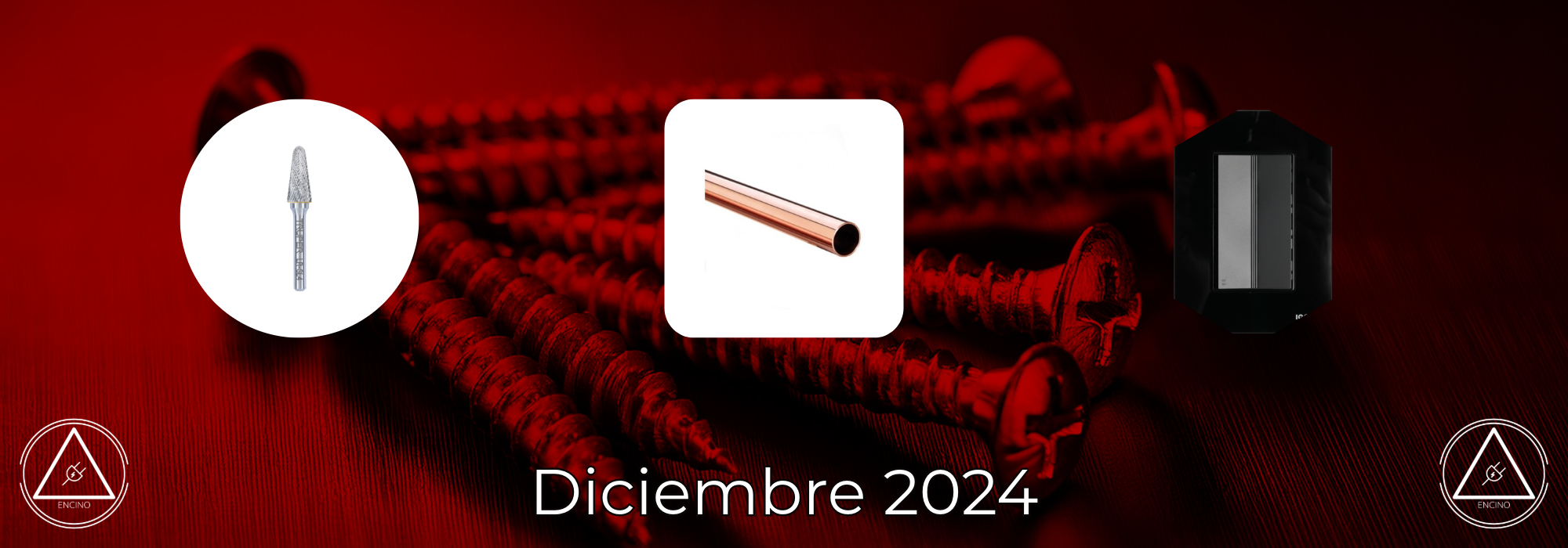 Novedades Diciembre 2024